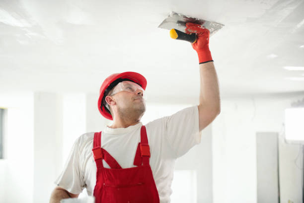 Professional Drywall and Painting Service in Fern Park, FL